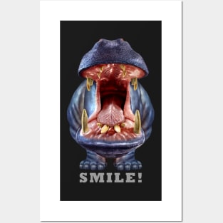 Hippopotamus Smile Posters and Art